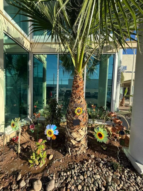 Spring cleaning and gardening