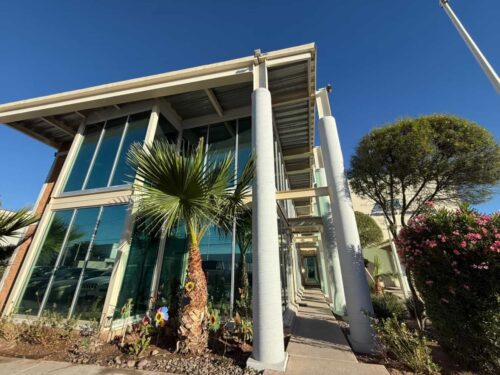 Spring cleaning and gardening