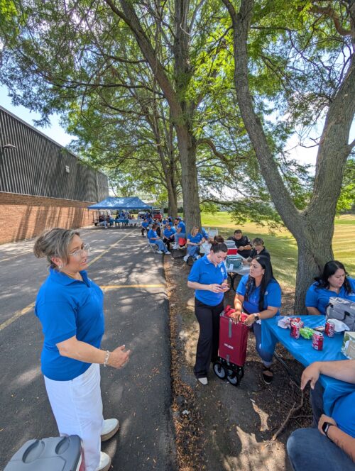 People in blue shirts having a company picnic